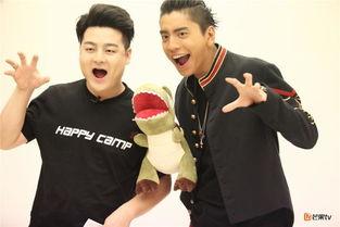 吃瓜娱乐王大陆,揭秘娱乐圈幕后故事  第1张