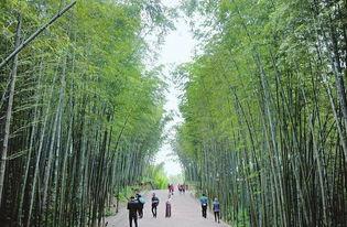 竹林小区新闻爆料最新,业主抗议物业，真相背后引关注